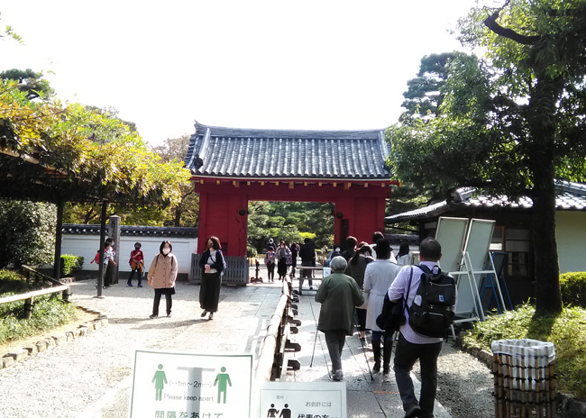 平等院鳳凰堂の見学